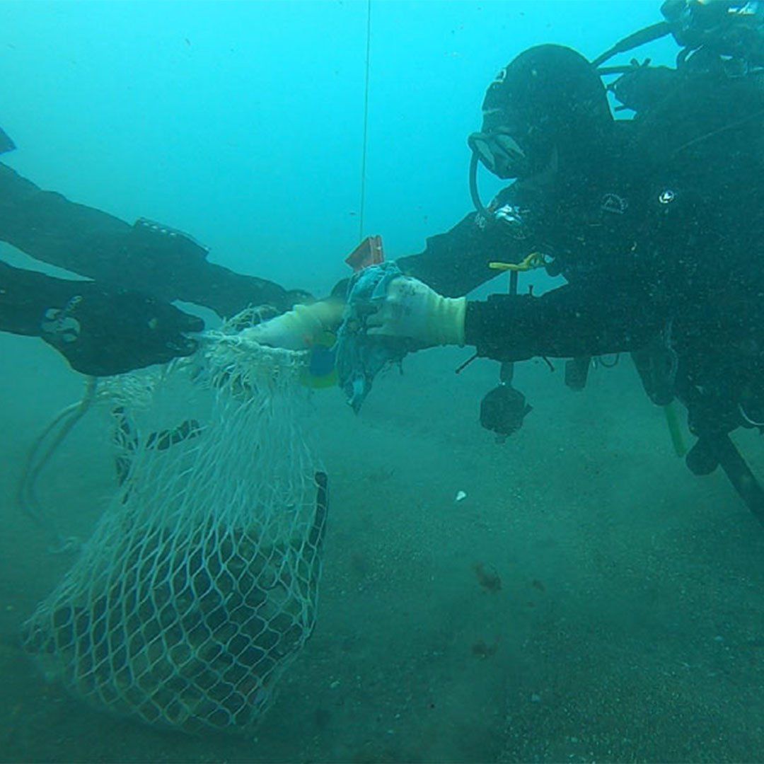 Taucher bei Unterwasser-Reinigungsaktion Zwei Taucher entfernen Müll aus dem Meer mit einem Netz bei einer Unterwasser-Reinigungsaktion.