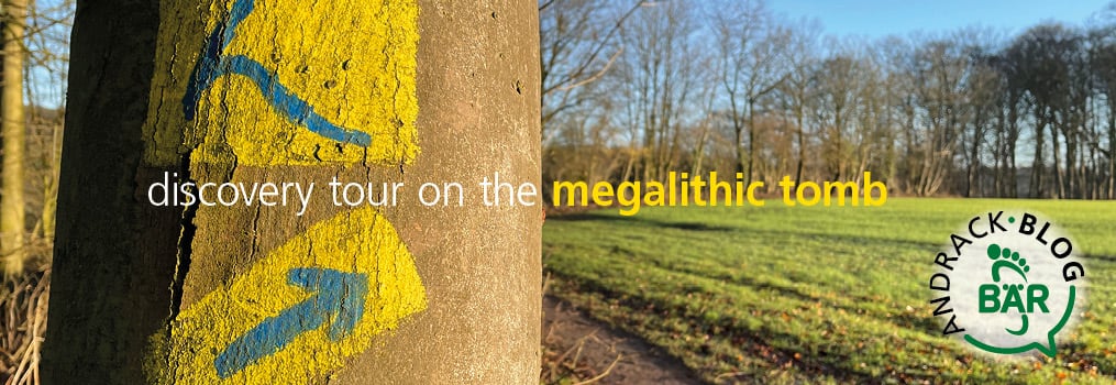 Blue and yellow arrow markings on a tree trunk along a forest path indicating a discovery tour on the megalithic tomb.