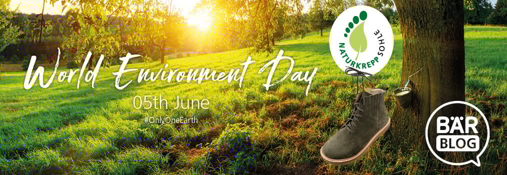World Environment Day Celebration with Eco-Friendly BÄR Shoes A scenic landscape with a shoe hanging from a tree, promoting World Environment Day on June 5th and eco-friendly footwear by BÄR.