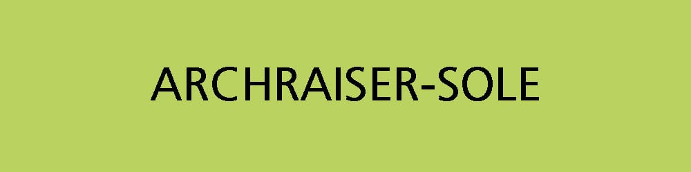 Archraiser Sole Logo on Green Background Archraiser Sole logo text on a light green background