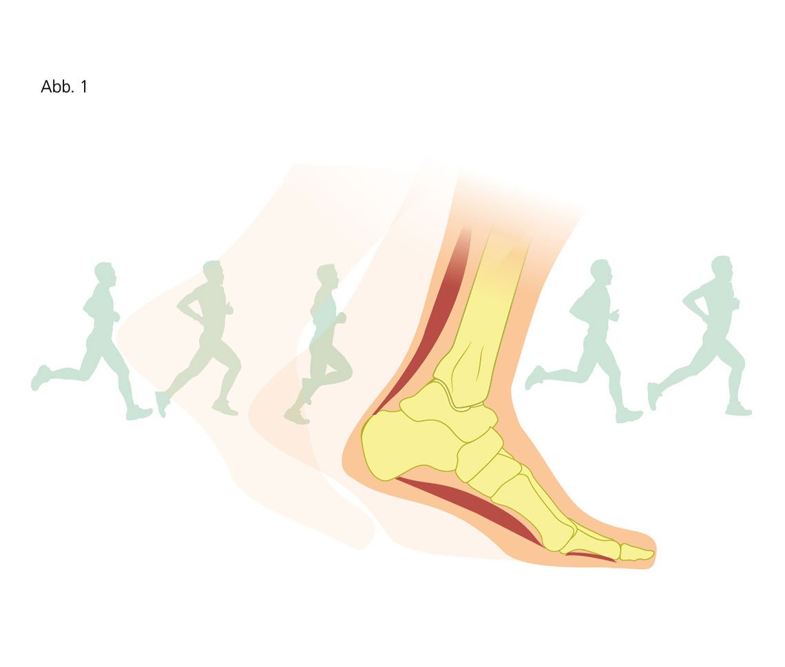 Illustration showing foot anatomy and running motion Diagram of foot bones with silhouettes of running figures to illustrate human gait and motion