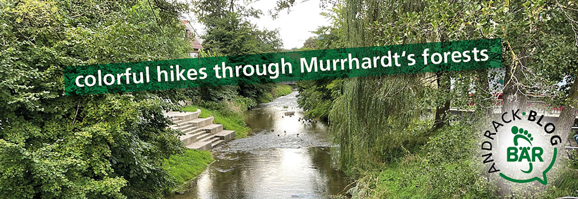 Colorful Hikes Through Murrhardt's Forests - Scenic Stream and Lush Greenery A picturesque stream surrounded by lush greenery promoting colorful hikes through Murrhardt's forests.