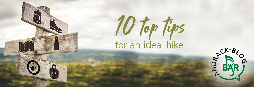 10 Top Tips for an Ideal Hike Wooden signpost with hiking symbols on a scenic trail, promoting hiking tips.