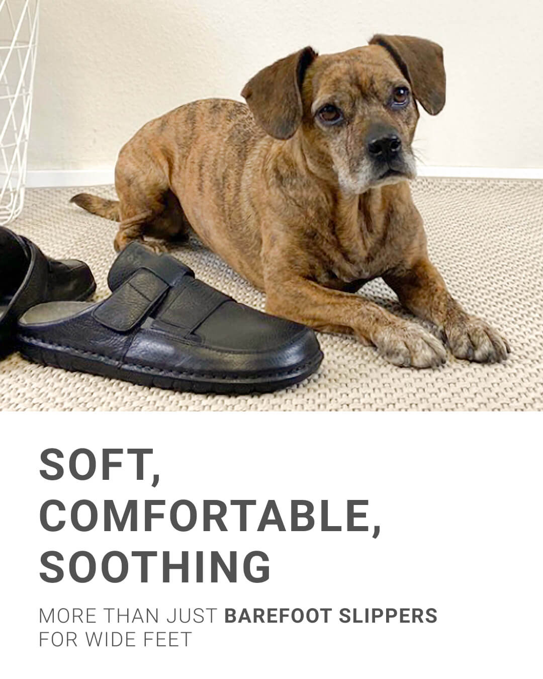 Comfortable Barefoot Slippers for Wide Feet with Dog Brindle dog lying next to black barefoot slippers on a beige rug