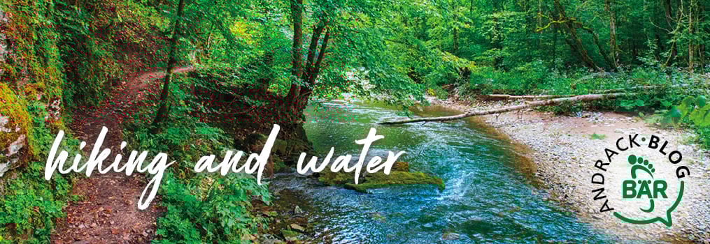 Serene Forest Hiking Trail by a River A peaceful hiking trail next to a flowing river in a lush green forest.