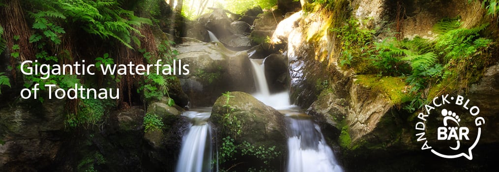 A serene waterfall cascading through rocky terrain surrounded by vibrant green foliage, showcasing the natural beauty of Todtnau.
