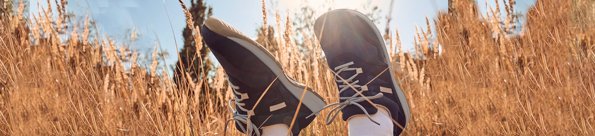 Bequeme Freizeitschuhe bei sonnigem Herbstwetter genießen Ein Paar blau-weiße Freizeitschuhe im Gras bei sonnigem Wetter