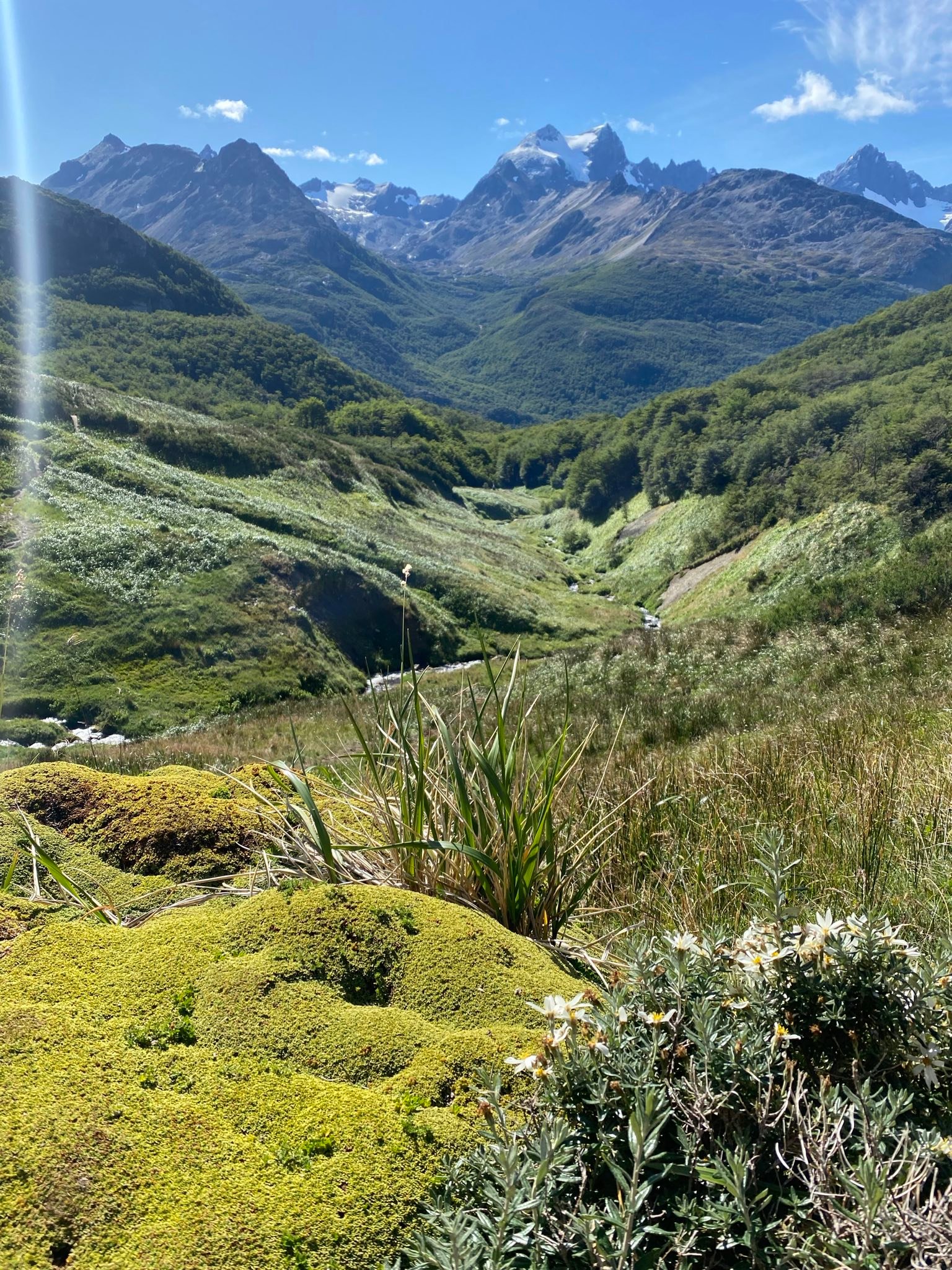 Grüne Talebene mit üppiger Vegetation vor einer beeindruckenden Bergkulisse mit schneebedeckten Gipfeln bei klarem Himmel
