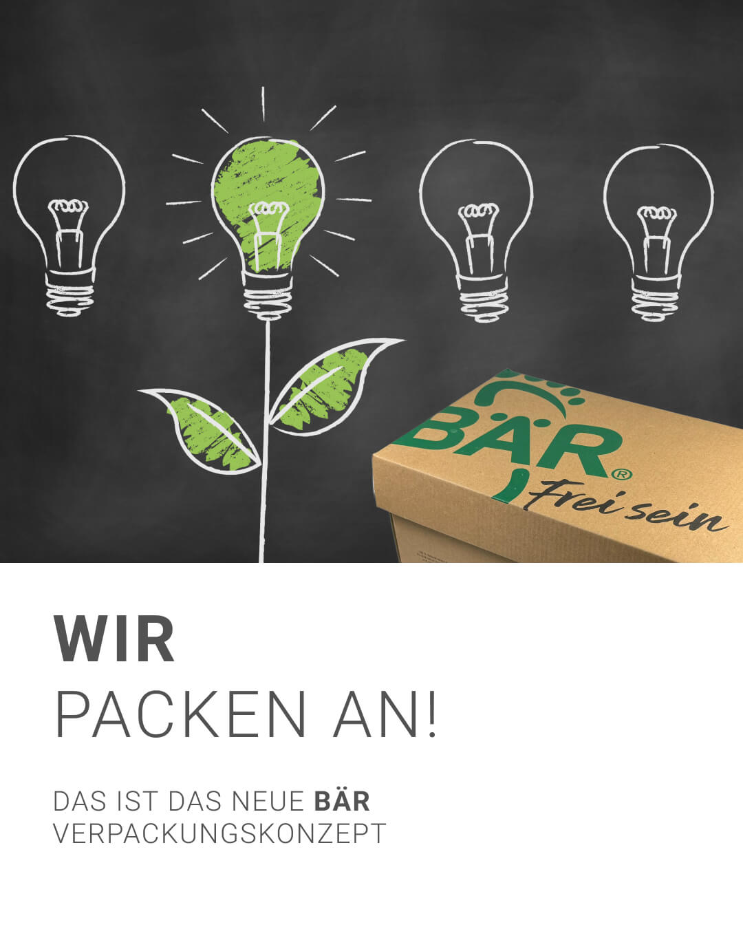 Nachhaltiges Verpackungskonzept von BÄR Karton mit BÄR-Logo vor Tafel mit grüner Glühbirnenskizze