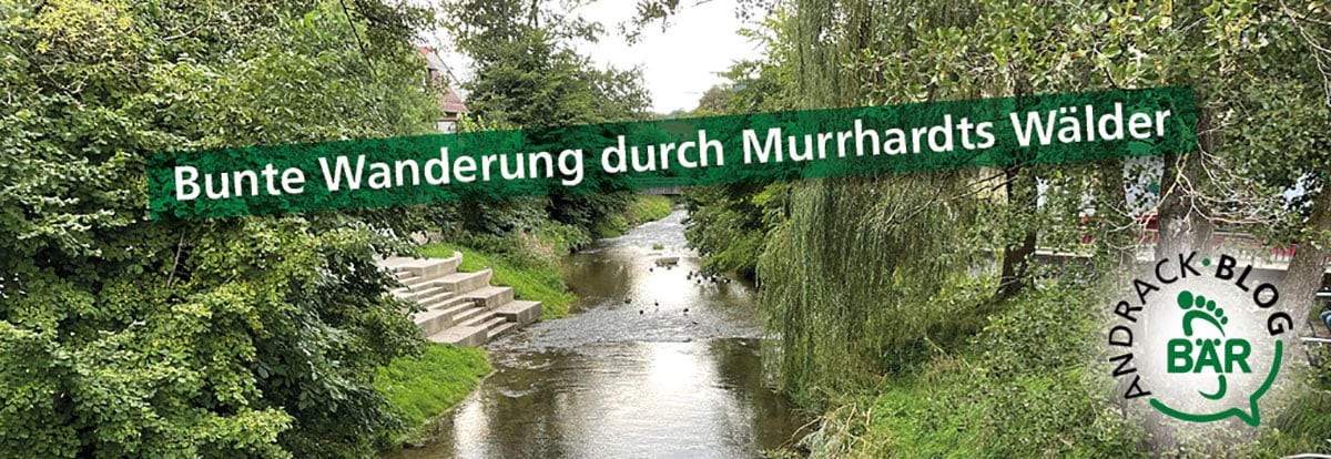 Bunte Wanderung durch Murrhardts Wälder - Bild einer malerischen Flusslandschaft Malerische Flusslandschaft in Murrhardt mit üppigem Grün und einem Wanderweg