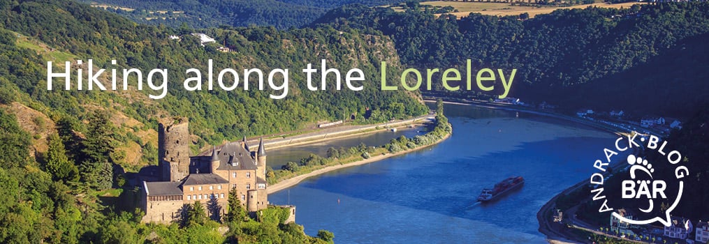 Panoramic view of the Loreley region with a castle by the river and lush green hills.