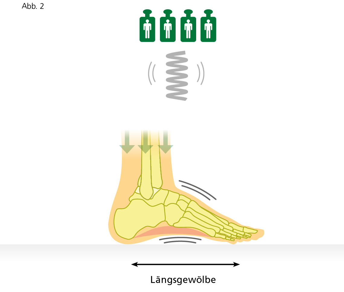 Foot Arch Diagram Illustrating Weight Distribution Diagram showing weight distribution on foot arch with people icons and arrows pointing down.