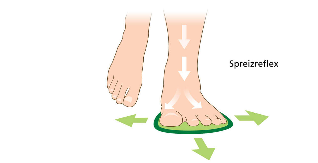 Illustration of the splay reflex in feet Diagram showing foot splay reflex with directional arrows indicating movement in different directions.