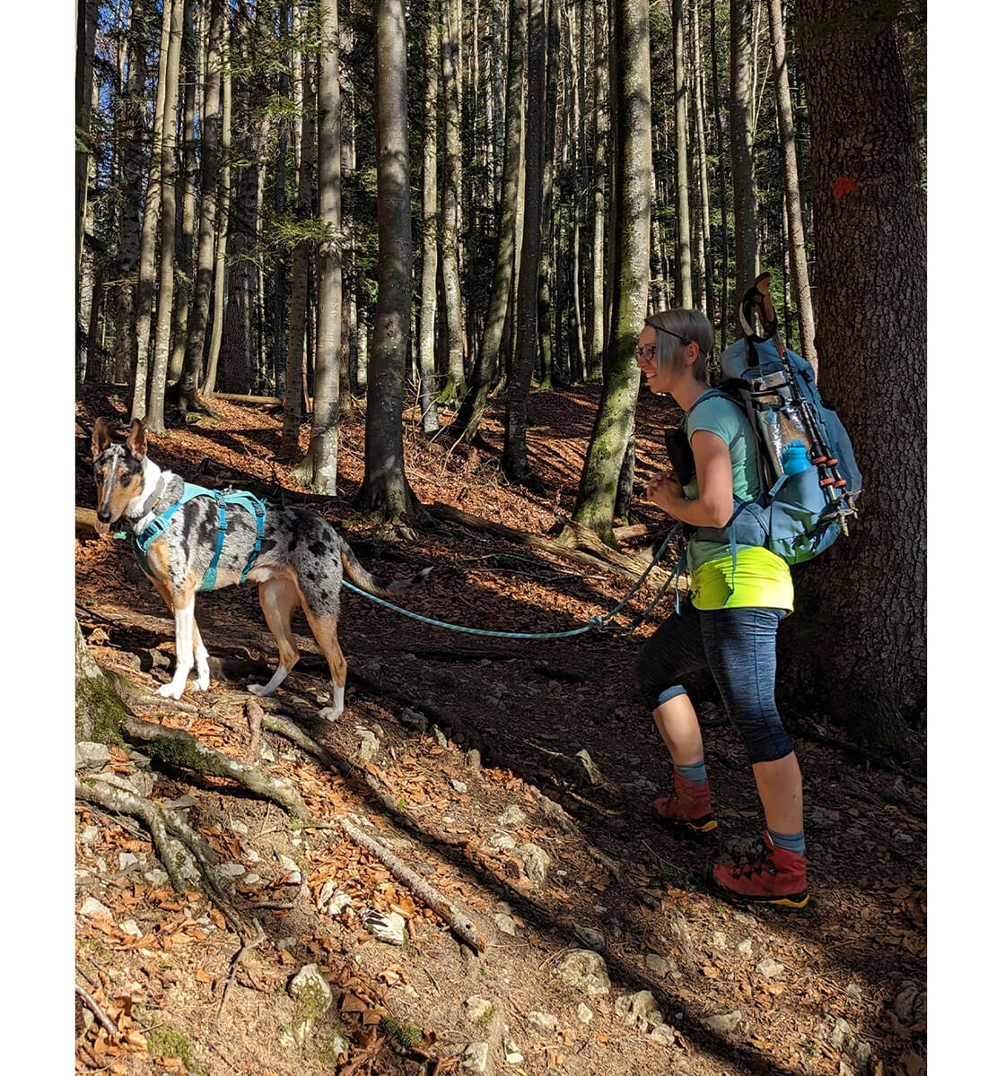 Eine Frau mit Rucksack wandert mit einem Hund an der Leine durch einen lichten Wald.