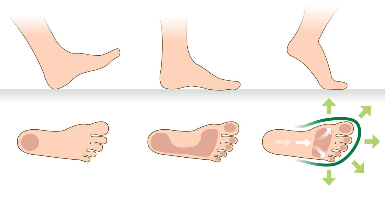 Illustration der Fußbewegung beim Gehen Grafik zeigt die unterschiedlichen Phasen der Fußbewegung beim Gehen und Druckverteilung auf der Fußsohle
