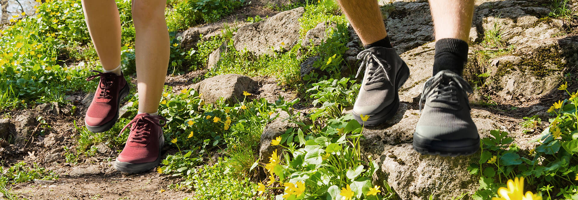 Hiking shoes on rocky trail with wildflowers Close-up of two people wearing hiking shoes walking on a rocky trail surrounded by green plants and yellow wildflowers