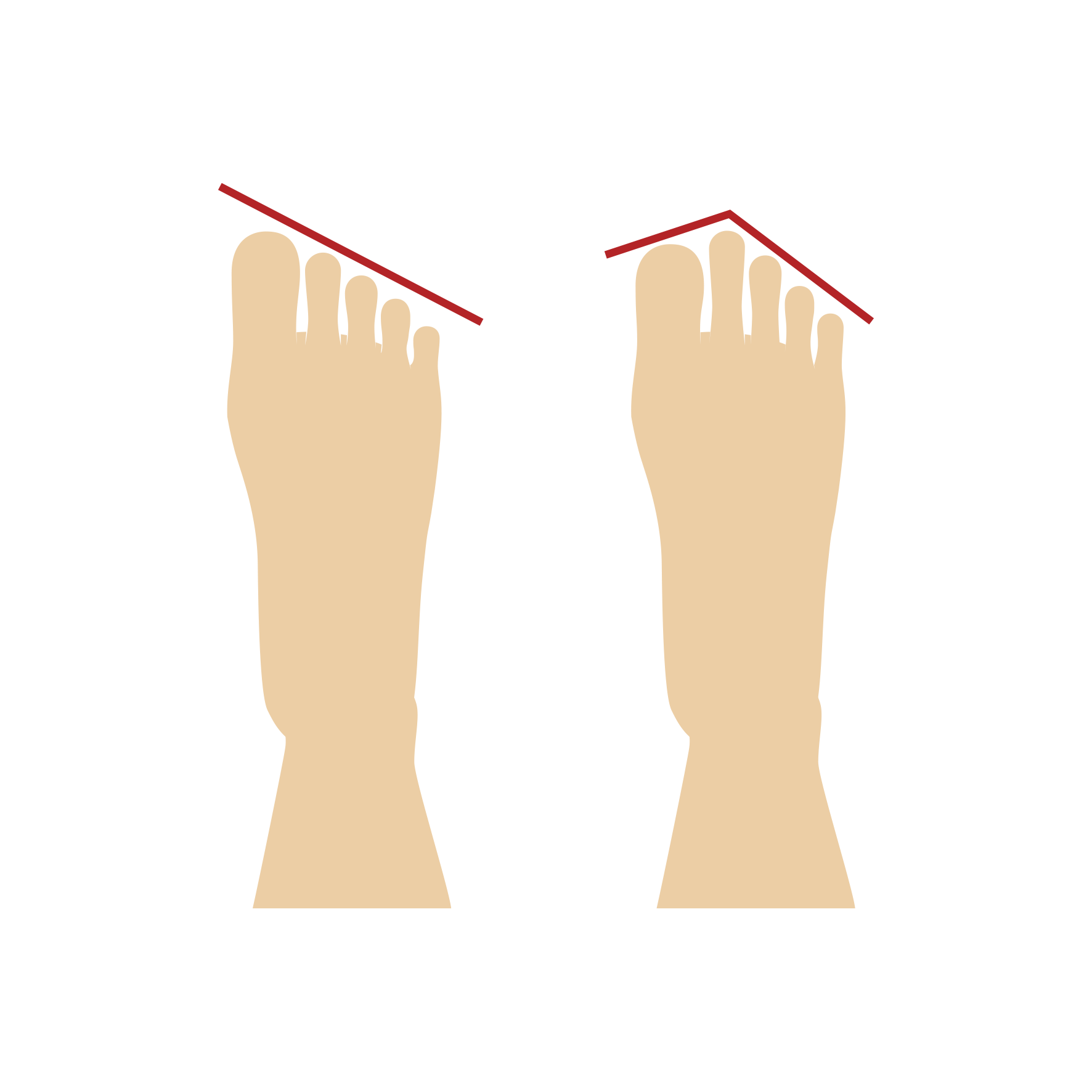 Illustration of foot shapes: Greek and Roman Graphic showing two foot shape types, Greek with longer second toe and Roman with straight toes.