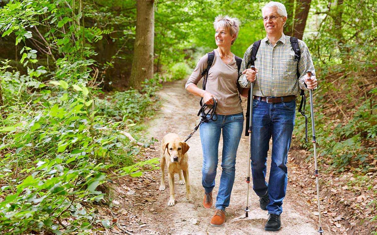 Senior couple hiking with dog in the forest An elderly couple walking on a forest trail with their dog, carrying trekking poles and wearing casual outdoor clothing.