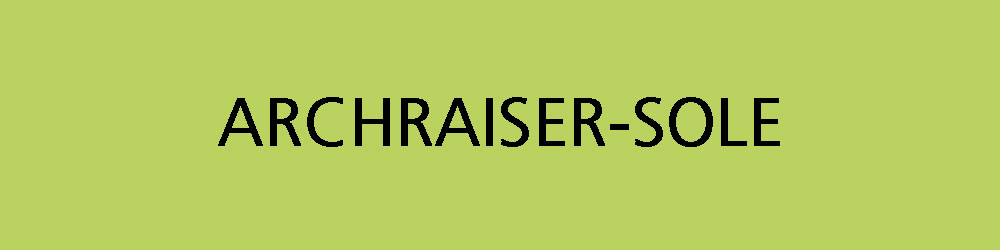 Archraiser Sole Logo on Green Background Archraiser Sole logo text on a light green background