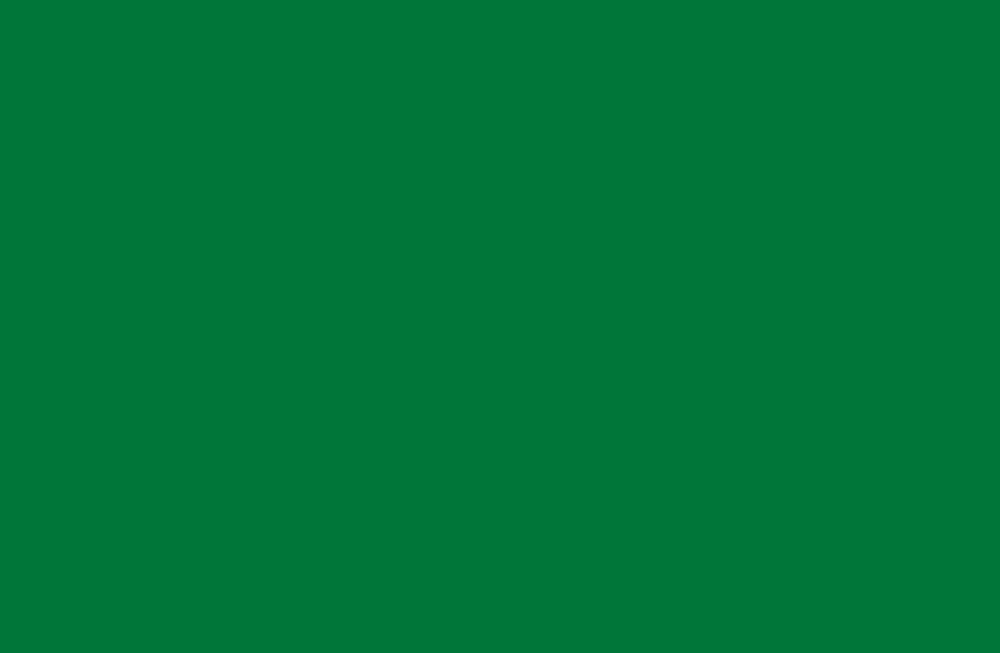 Plain Green Background A simple, solid green background