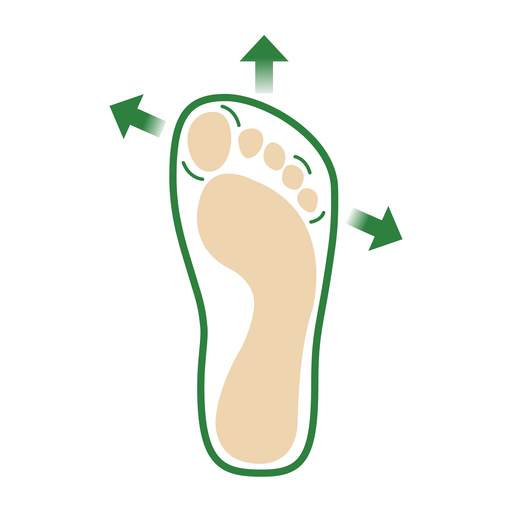 Footprint indicating spacious shoe design with arrows Illustration of a foot with arrows showing ample space around toes and sides