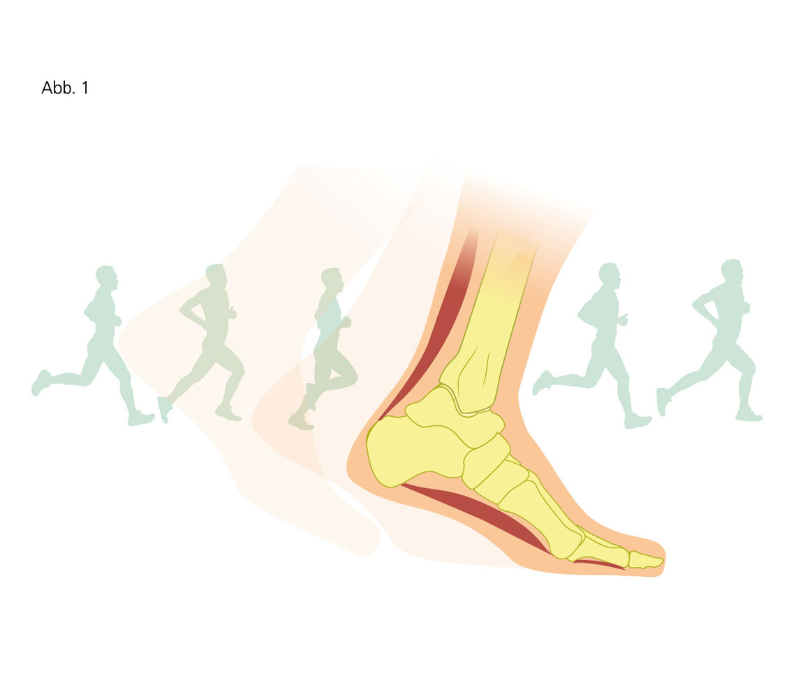 Illustration showing foot anatomy and running motion Diagram of foot bones with silhouettes of running figures to illustrate human gait and motion
