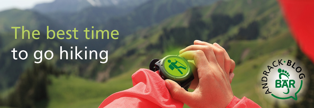 Hiker checking smartwatch in scenic mountain landscape Person in hiking gear looking at a smartwatch with a mountainous backdrop