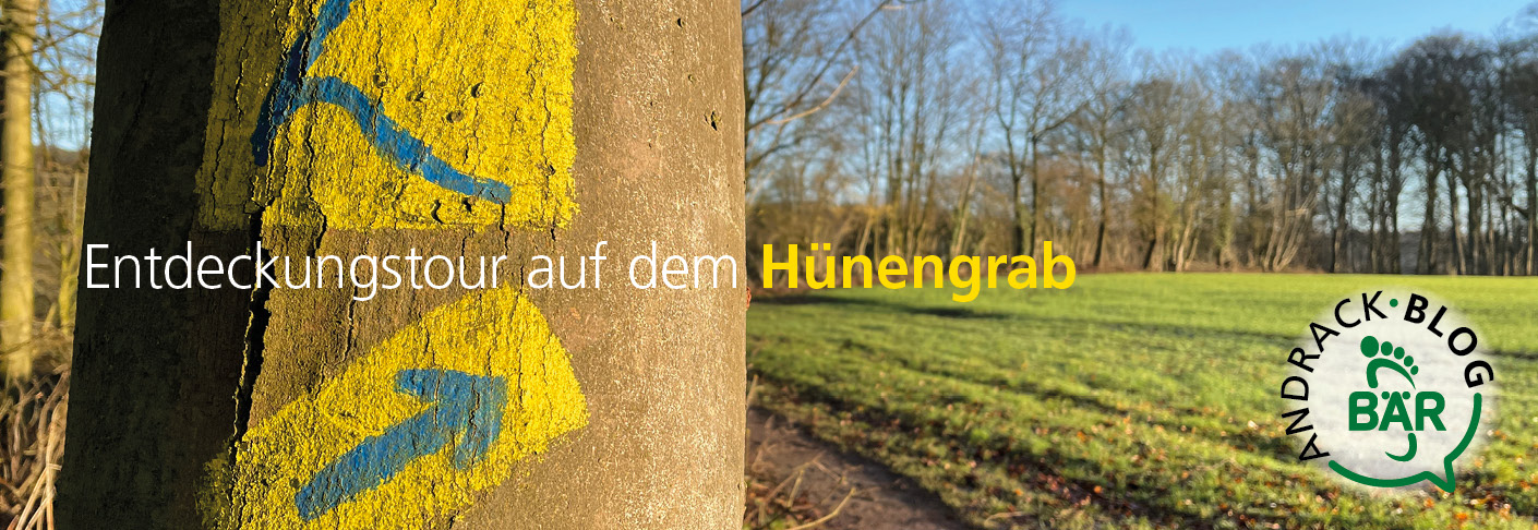 Entdeckungstour auf dem Hünengrab - Andrack Blog Gelb-blauer Wegweiser am Baum für eine Entdeckungstour auf dem Hünengrab, begleitet vom Andrack Blog Logo im sonnigen Wald.