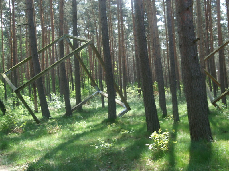 Wooden geometric structures leaning among tall trees in a serene forest setting.