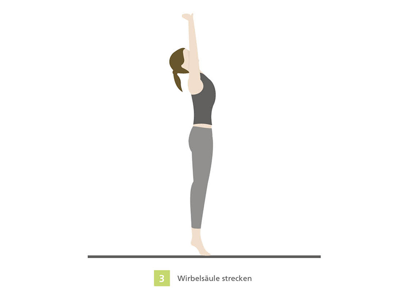 Yoga Pose: Standing Spine Stretch Illustration of a woman performing a standing spine stretch in yoga, reaching arms overhead.