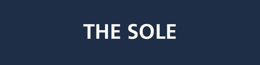 The Sole - Brand Logo on Navy Background Company logo with the text 'The Sole' on a dark blue background