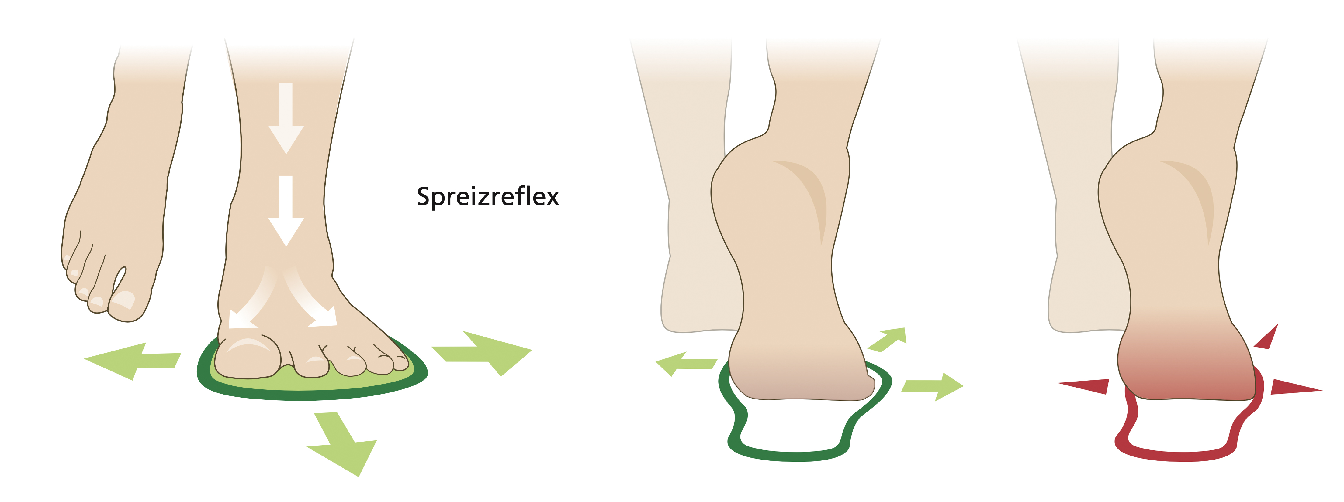 Illustration of Foot Reflexology Techniques Diagram showing foot reflex points and pressure directions for reflexology therapy.