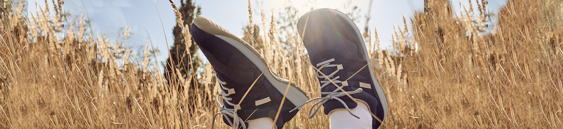 Bequeme Freizeitschuhe bei sonnigem Herbstwetter genießen Ein Paar blau-weiße Freizeitschuhe im Gras bei sonnigem Wetter