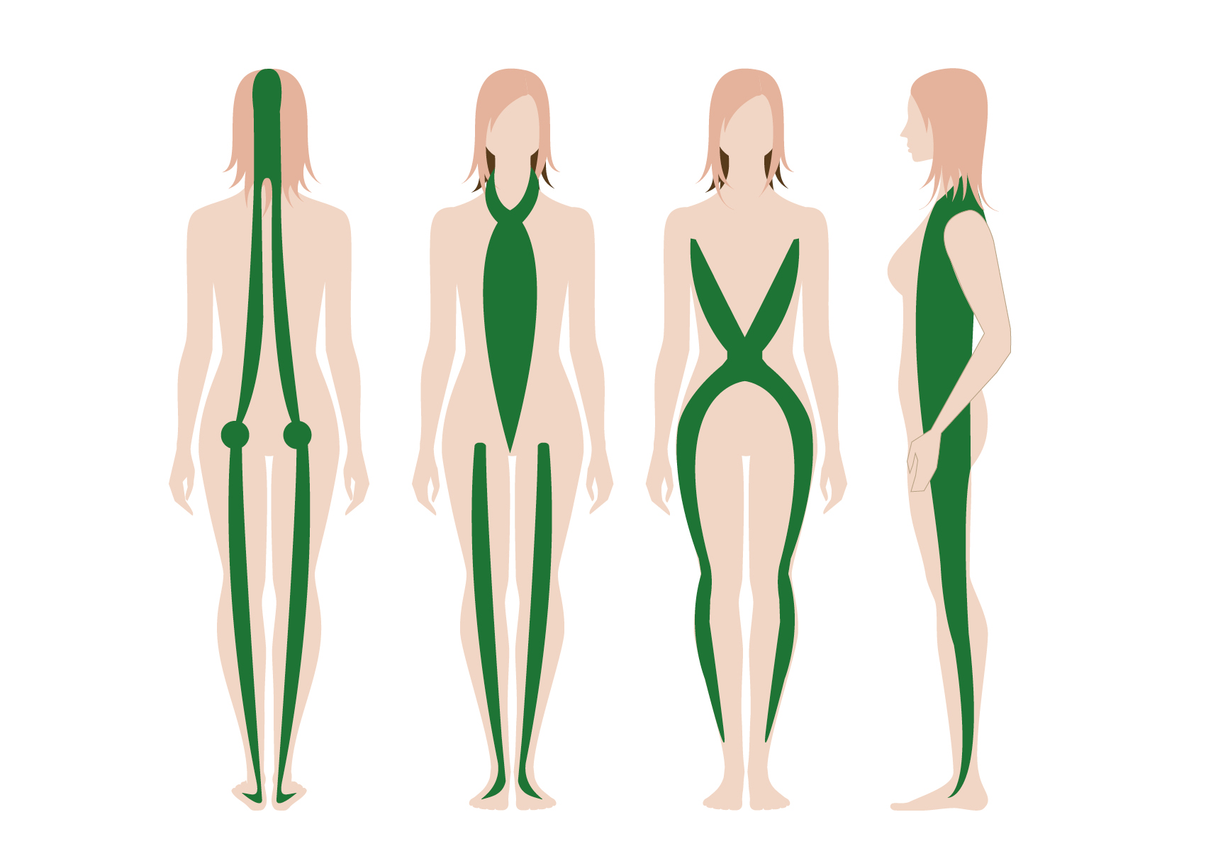 Illustration of different body shaping garment designs Illustration showing front, back, and side views of body shaping garments emphasizing key areas for contouring.