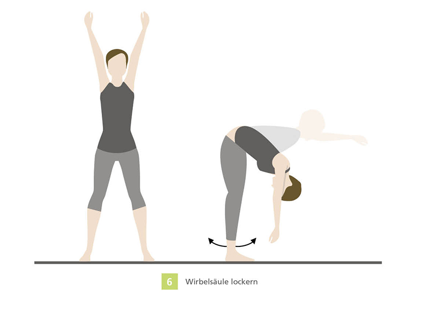 Illustration of spine stretching exercises Two positions showing a person stretching their spine; one standing with arms raised, the other bending forward