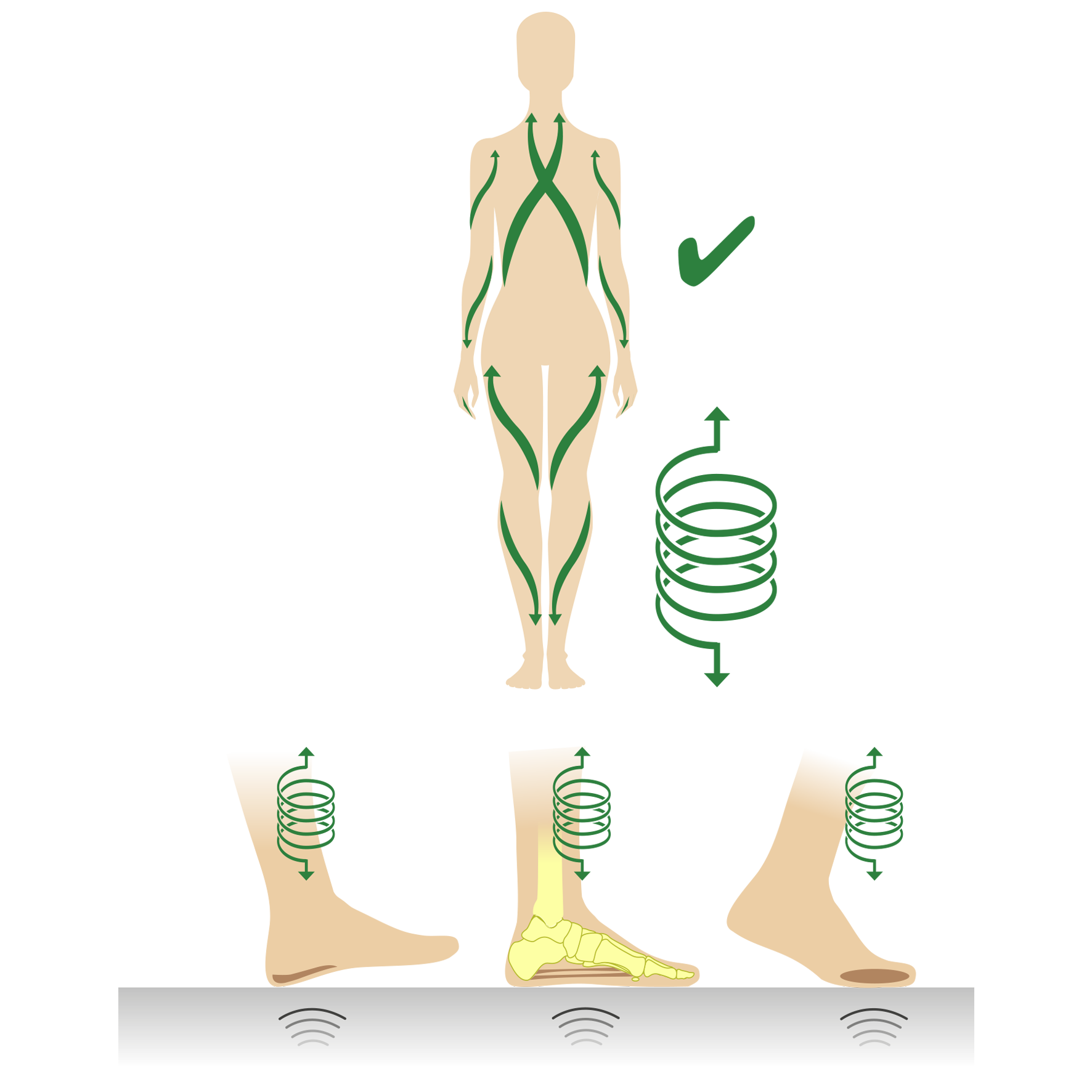 Diagram showing human body posture and foot alignment Illustration of a human figure with green arrows indicating body posture and foot alignment mechanisms, showing proper body support and balance.