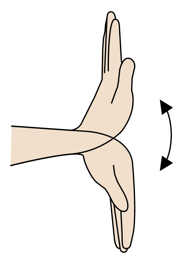 Hand Exercise Diagram: Wrist Stretch Technique Illustration showing a hand exercise with a wrist stretch technique, demonstrating the upward and downward movement of the hand for wrist flexibility.